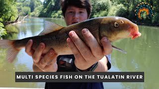 Fishing the Tualatin River: Top Tips for a Successful Catch