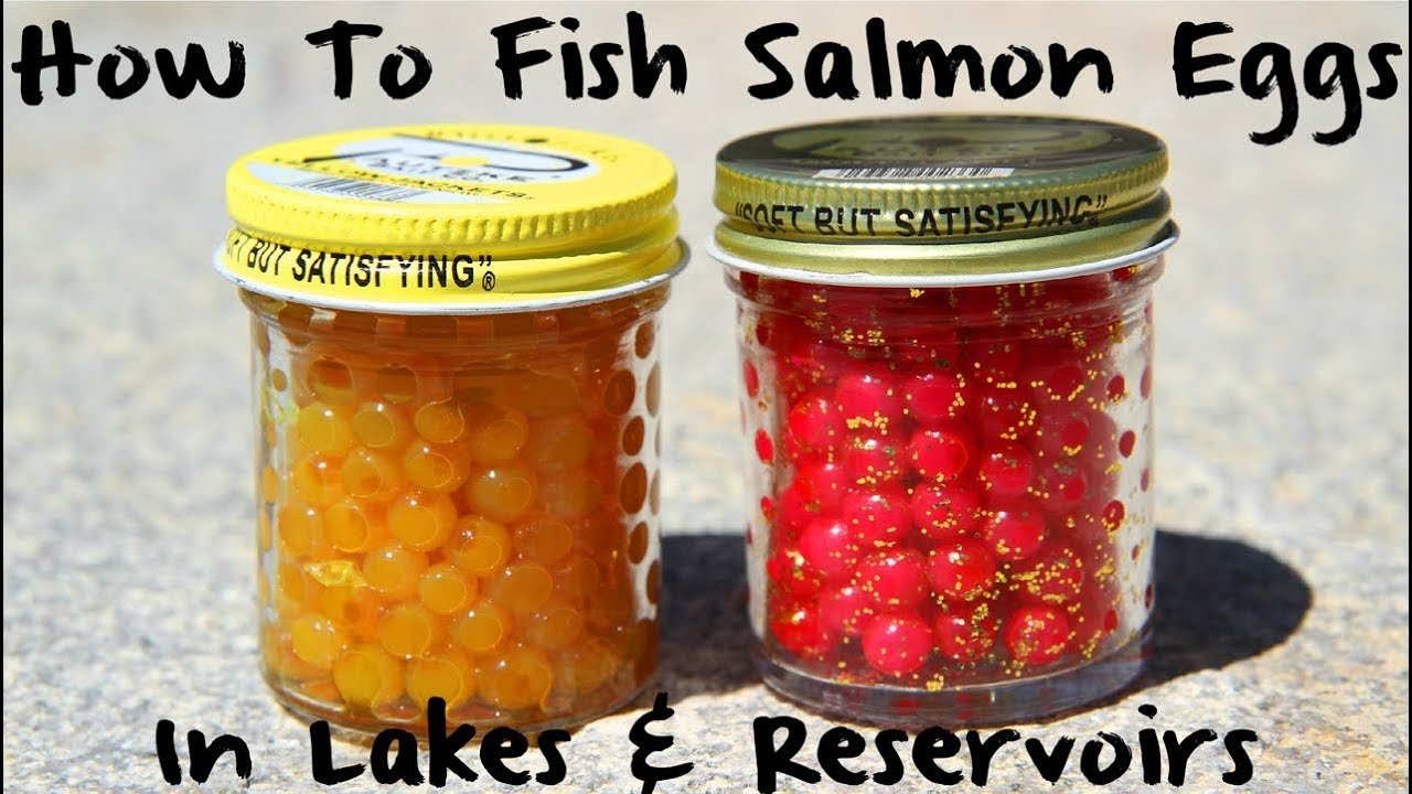 Are Salmon Eggs Good for Trout Fishing? Expert Tips & Insights
