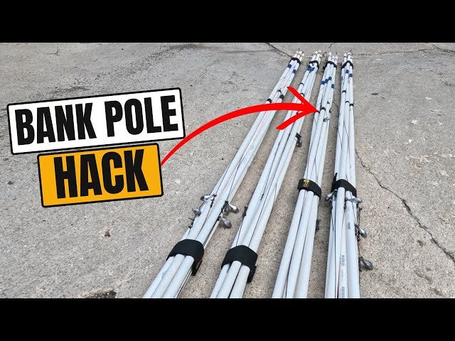 Catfish Bank Pole: Ultimate Guide to Catch More Trophy Catfish
