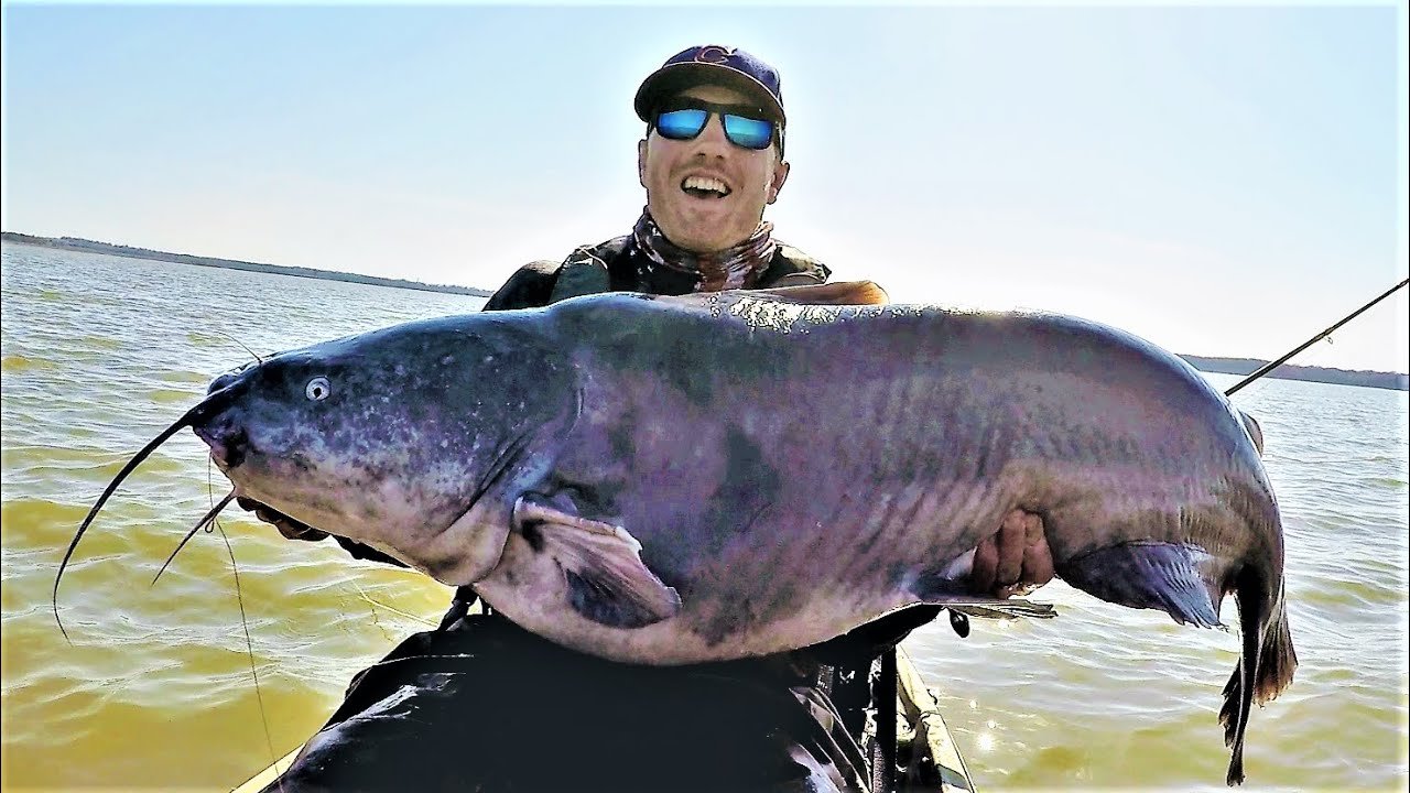 Texas Catfish: Best Spots, Tips, and Recipes for 2024