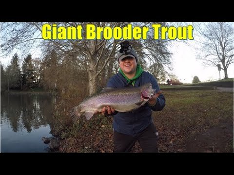 Waverly Lake Albany Oregon Fishing: Top Tips for Big Catches