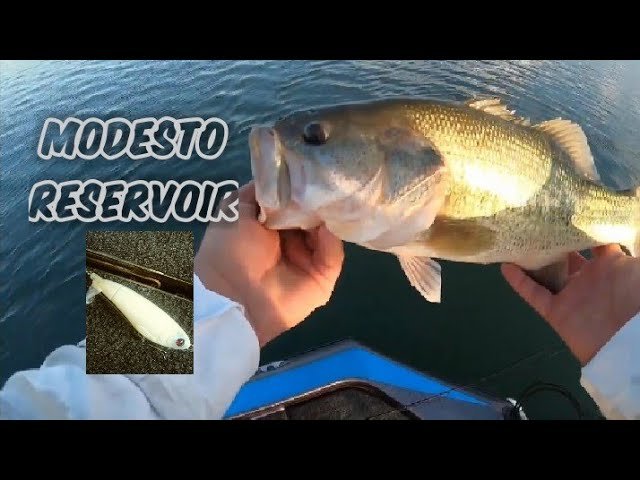 Fishing Modesto Reservoir: Top Tips for a Successful Catch