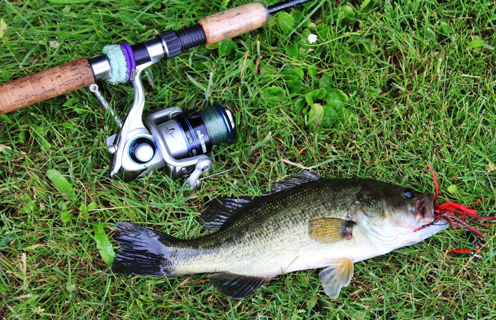 Waverly Lake Albany Oregon Fishing: Top Tips for Big Catches