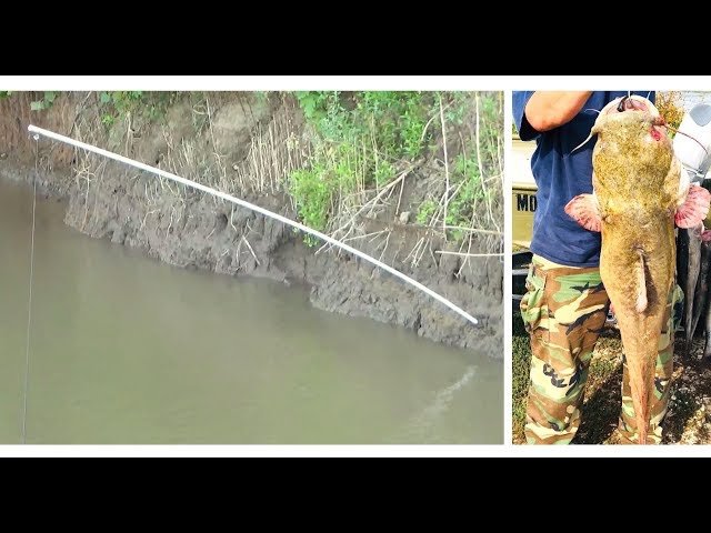 Bank Poles for Catfishing: Boost Your Catch Rate Instantly