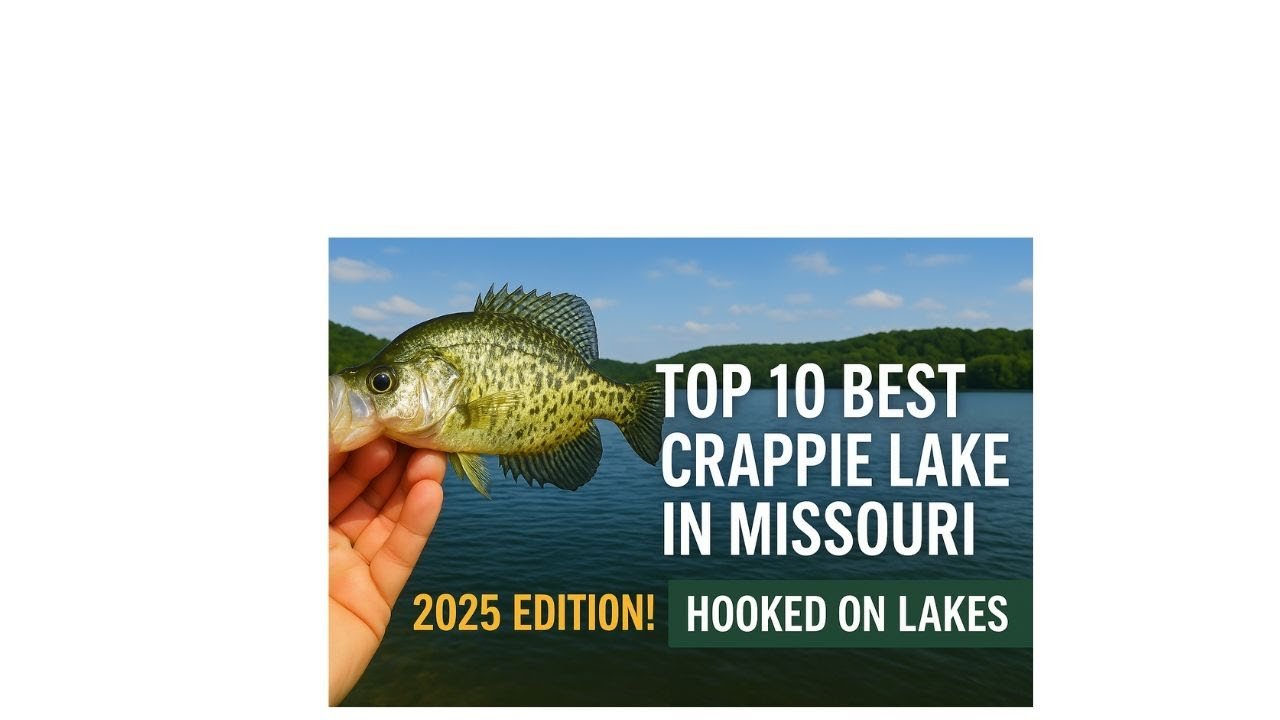 Best Crappie Fishing in Missouri: Top Spots and Tips