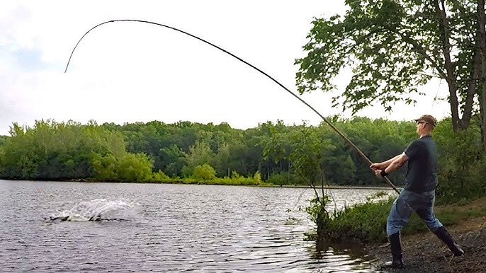 Pole Fishing for Catfish: Proven Tips for Bigger Catches