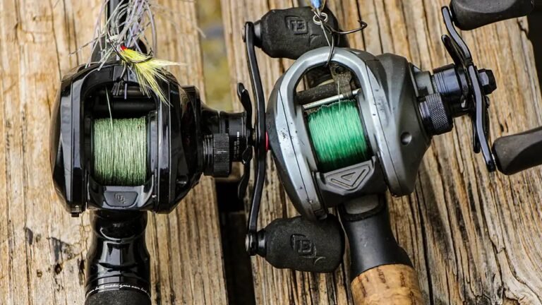 Braid or Mono for Baitcaster: Which Line Should You Choose?