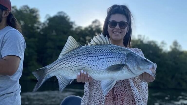 Fishing Spots in Stockton Ca: Top Locations for Big Catches