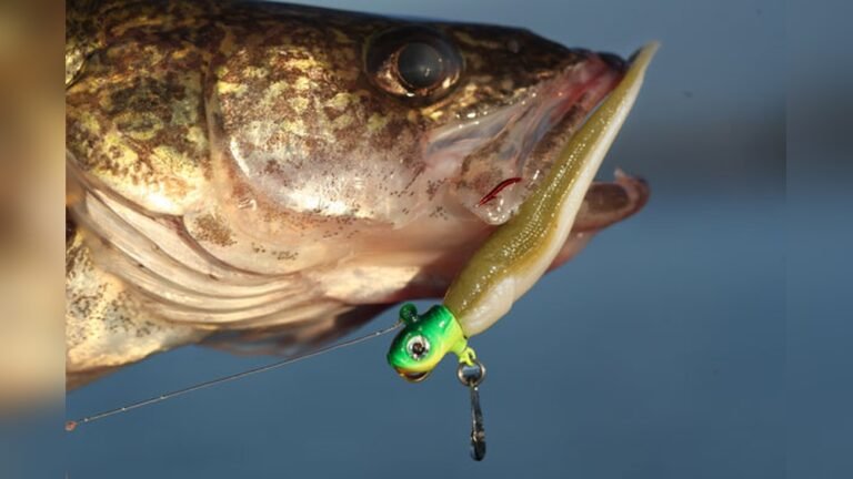 Jigs for Walleye Fishing: Top Tips to Catch More Fish Fast