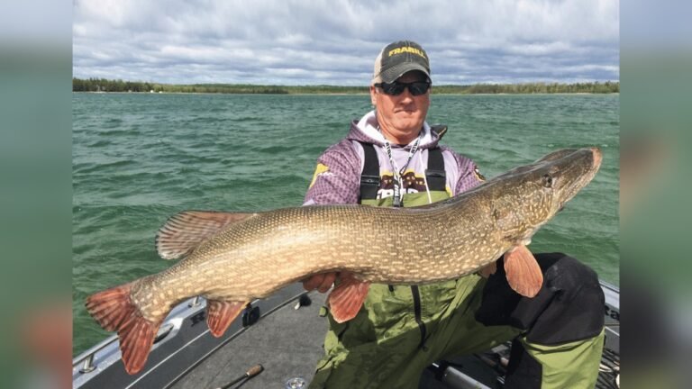Lake Michigan Pike: Tips for Catching Trophy-Sized Fish