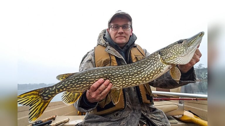 Pike in Michigan | Top Spots and Tips for Trophy Catches