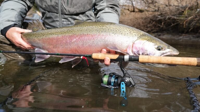 River Steelhead: Ultimate Guide to Catching Trophy Fish