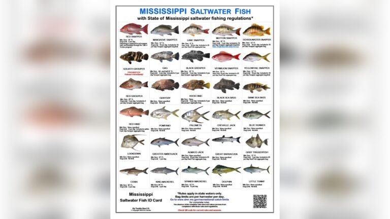 Top Species and Where to Find Saltwater Fish of Mississippi