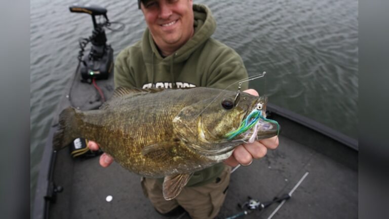 Smallmouth Spinnerbaits | Top Tips for Catching More Bass