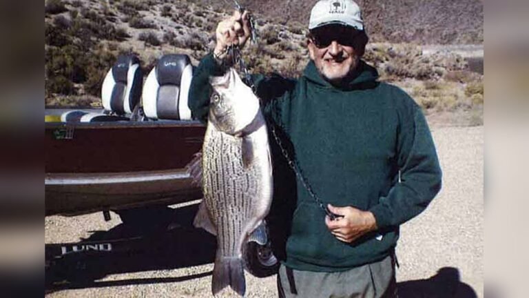Wiper Fish Utah: Ultimate Guide to Catching Trophy Wipers