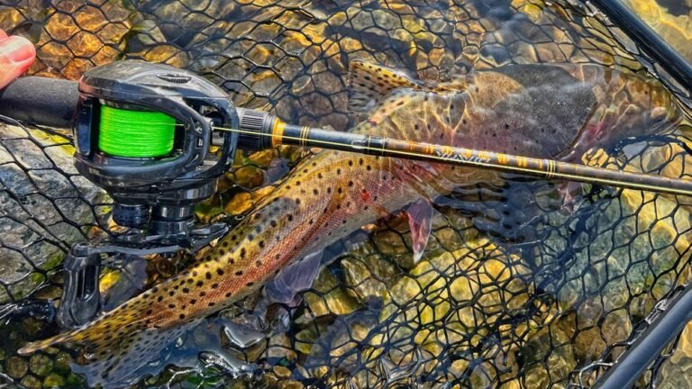 Are Baitcasters Good for Trout Fishing? Pros, Cons, and Tips