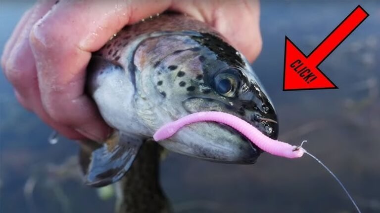 Are Maggots Effective Bait for Trout Fishing: Expert Insights