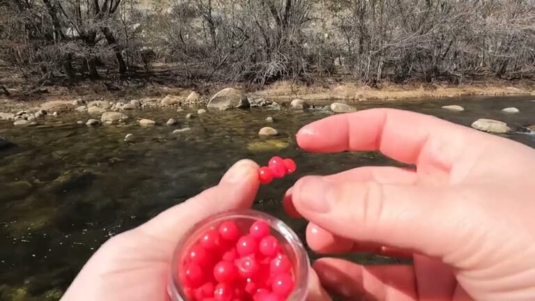 Are Salmon Eggs Good for Trout Fishing? Expert Tips & Insights