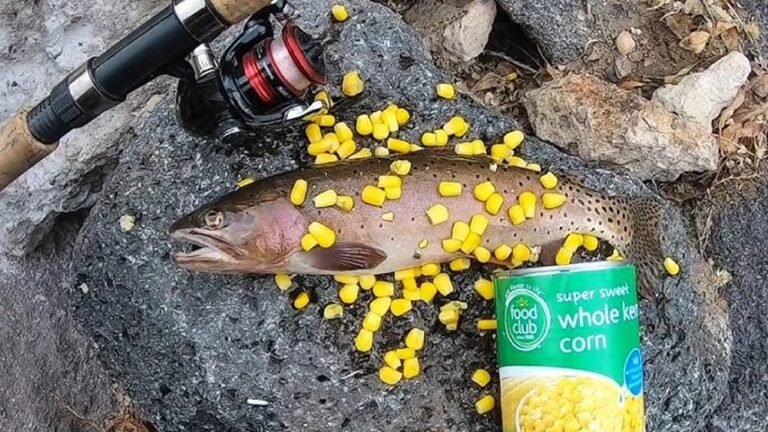 Can I Use Corn for Trout Fishing?