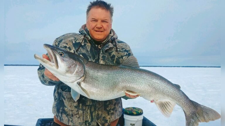 Does Chumming Work for Ice Fishing?