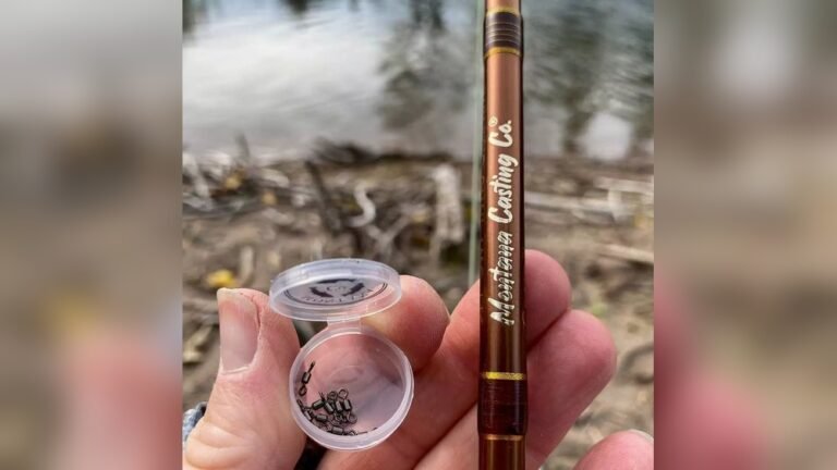 Do You Need a Swivel for Trout Fishing?
