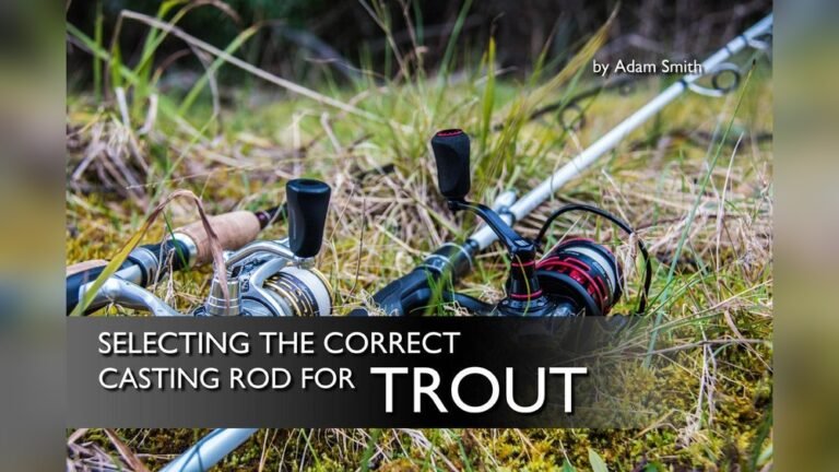 Best Rod Type for Trout Fishing