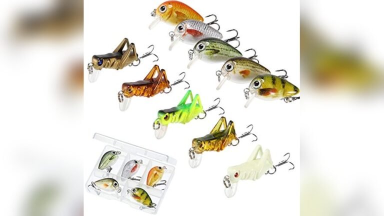 Top 5 Best Crankbaits for Panfish for Easy Catching