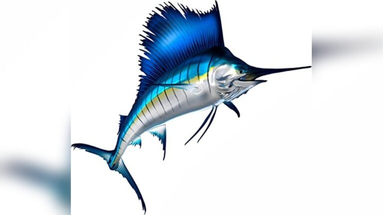 Best Large Fishing Decals for Boats 2026: Top Picks for Anglers
