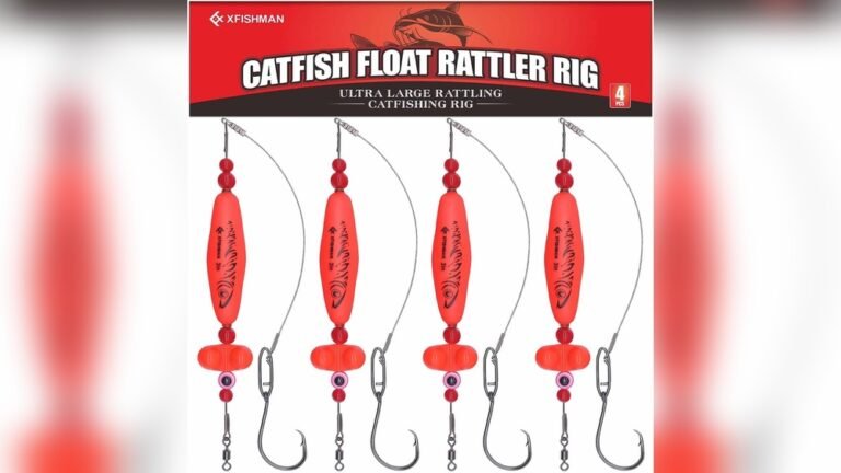 Best Bank Fishing Rigs for Catfish 2026: Top Picks for Easy Catches