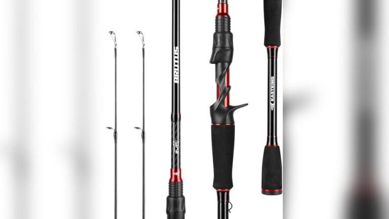 Best Fishing Pole for Striped Bass 2026: Top Picks for Anglers