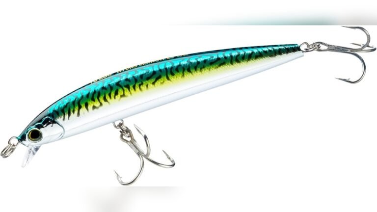 Best Lure Fishing for Mackerel: Top Picks for Ultimate Catch Success