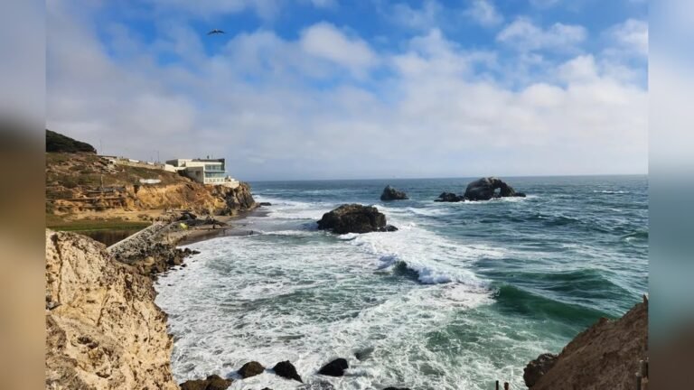 Best Forests for Hiking near San Francisco: Ultimate Nature Escapes