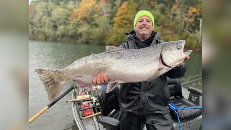 California Winter Steelhead River Guide: Ultimate Angler’s Handbook