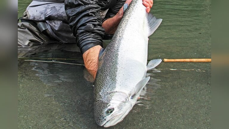 Eel River Steelhead Fishing: Ultimate Guide for Trophy Catches