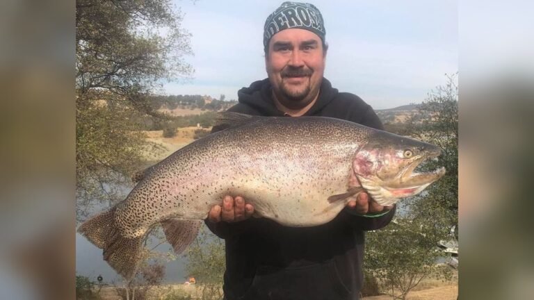 Lake Amador Fishing Guide: Ultimate Tips for Trophy Catches
