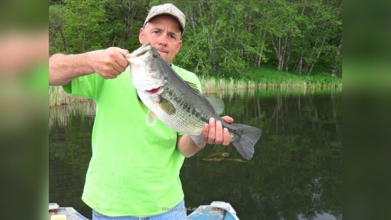 Swofford Pond Bass Fishing: Ultimate Guide for Big Catch Success