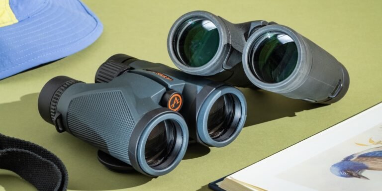 Compact black binoculars resting on a wooden post along a forest hiking trail.