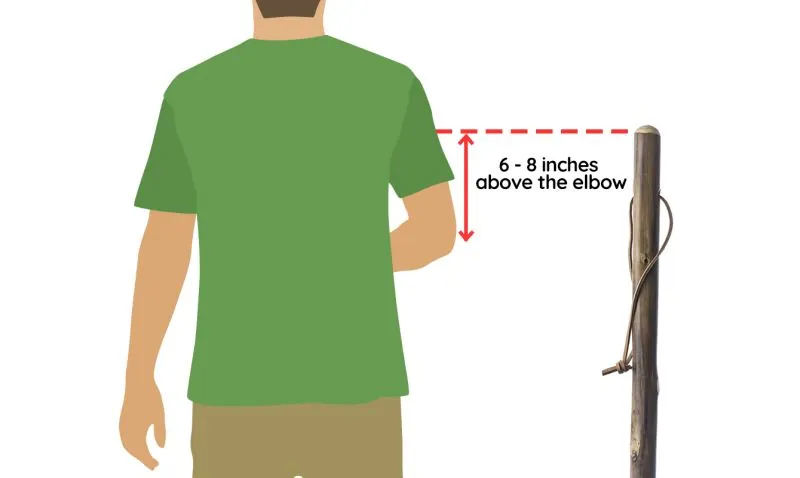 Hiker's arm holding a hiking pole at a correct right angle